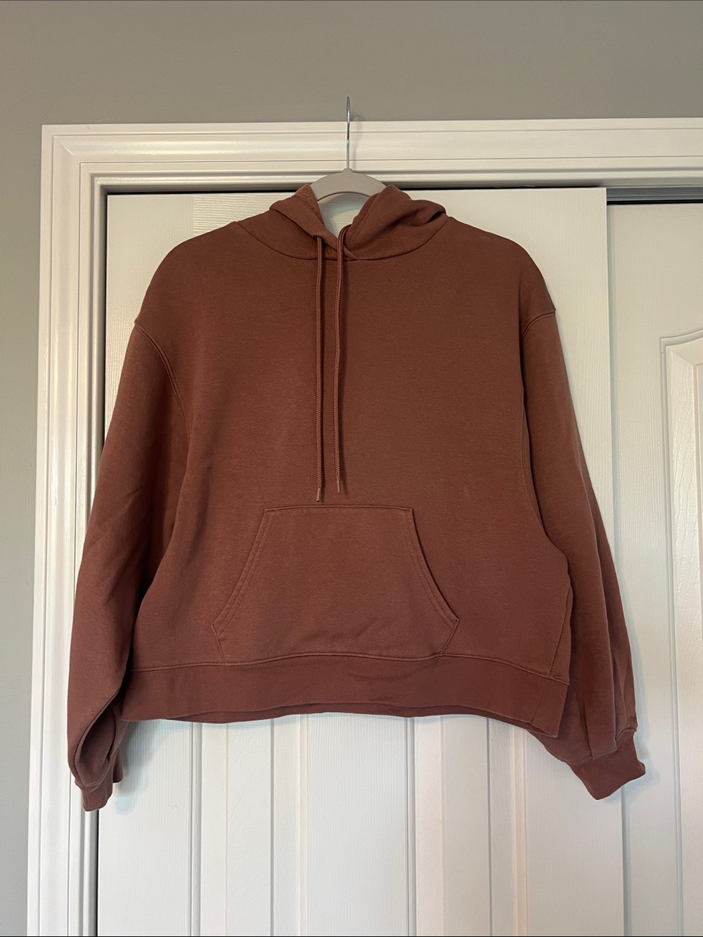 DSG Women's Pullover Hoodie in Rust Size S